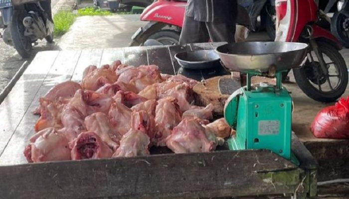 Jelang Tahun Baru 2026, Harga Daging Ayam di Tenggarong Alami Kenaikan