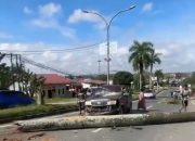 Mobil Tertimpa Pohon di Jalan Poros Tenggarong–Samarinda, Lima Penumpang Selamat