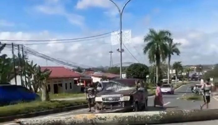 Mobil Tertimpa Pohon di Jalan Poros Tenggarong–Samarinda, Lima Penumpang Selamat