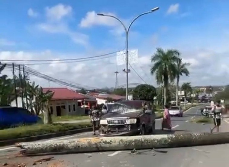 Kondisi mobil yang tertimpa pohon tumbang di Jalan poros Tenggarong–Samarind. (Istimewa)