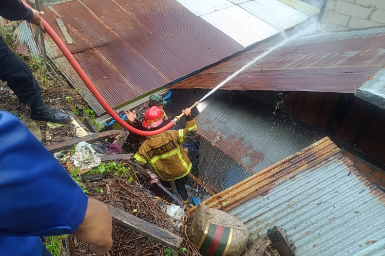 e19d5ad1 4515 4b28 8591 bebd50a85f7f