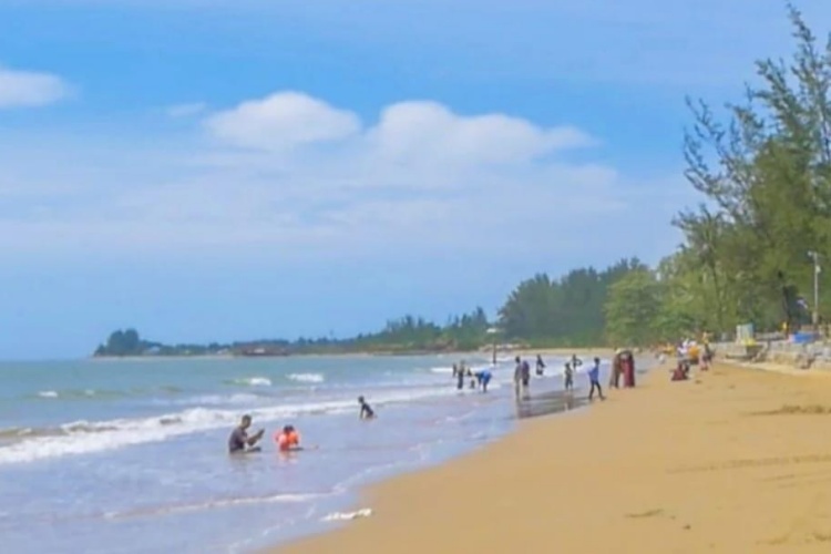 ee1e9e76 3bb1 4e34 8f70 b809ce113397