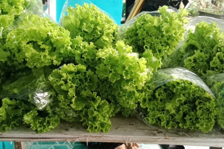 07cb5167 ce74 4a06 b9cb 7a2d91dbed77