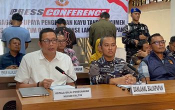 7c08d860 ab11 450c 9e5f 0902ef5be10c