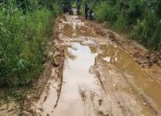 Jalan Desa Rantau Hempang Rusak Parah, Butuh Perhatian Pemerintah