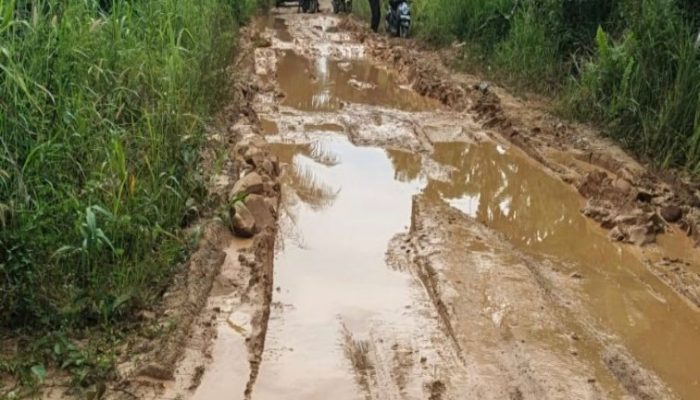 Jalan Desa Rantau Hempang Rusak Parah, Butuh Perhatian Pemerintah