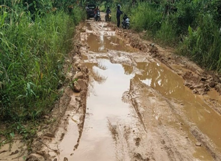 Kondisi Jalan di Desa Rantau Hempang, Kecamatan Muara Kaman.(Dok. Kepala Desa Rantau Hempang, Maman Sulaiman)
