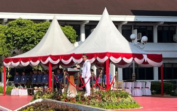 d216d245 781f 42dd bec7 59d87878dcf0