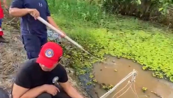 Disdamkarmatan Kukar Pasang Tiga Perangkap Buaya Usai Warga Diserang Saat Beraktivitas di Sebulu