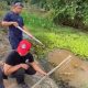 Disdamkarmatan Kukar Pasang Tiga Perangkap Buaya Usai Warga Diserang Saat Beraktivitas di Sebulu