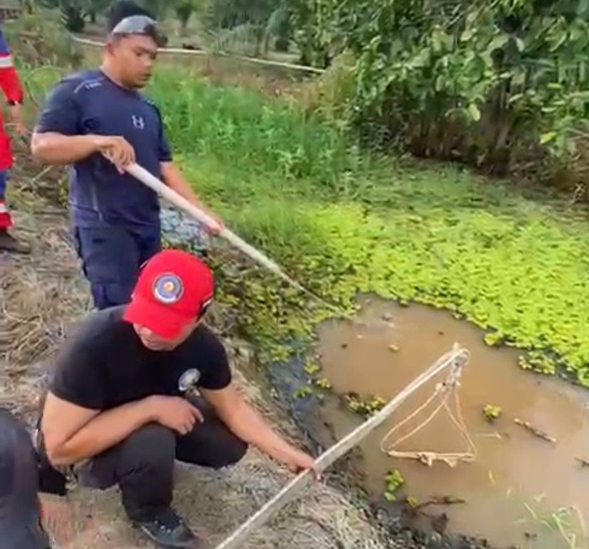 Pemasangan Perangkap Buaya Oleh Petugas. (Dok. Disdamkarmatan Kukar)