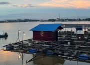 DKP Kukar Masih Kaji Legalitas Keramba di Sungai Mahakam