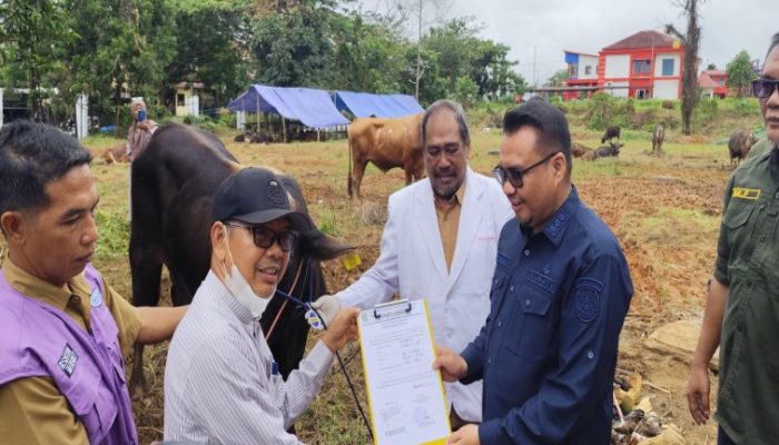 Jelang Idul Adha, Pemkab Kukar Pastikan Hewan Kurban Bebas Penyakit