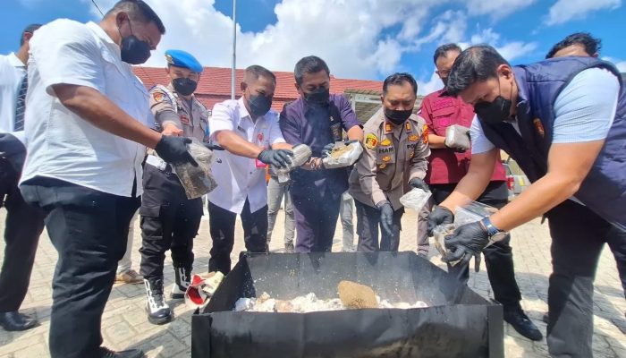 Polsek Loa Kulu Musnahkan 3,3 Kilogram Ganja, Dari Hasil Jaringan Narkotika Lintas Wilayah