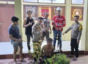 Pelaku Saat di Amankan Petugas Kepolisian. (Dok. Polsek Loa Janan).