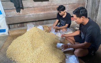 Harga Kedelai dan Plastik Naik, Pengusaha Tempe di Tenggarong Terpaksa Perkecil Ukuran Produk 3 Kenaikan harga kedelai dan plastik yang terjadi dalam beberapa bulan terakhir mulai dirasakan para pelaku usaha tempe di Kabupaten Kutai Kartanegara (Kukar)