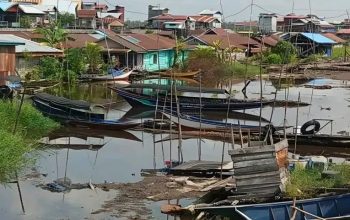Kondisi Air Surut di Kecamatan Muara Wis (Istimewa)