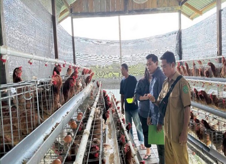 Distanak Kukar, melakukan peninjauan ke salah satu peternakan ayam petelur yang menerima bantuan dari Distanak Kukar. (Dok. Distanak Kukar)