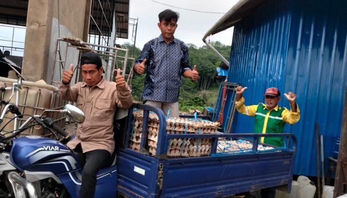 BUMDes Permata Loa Duri Ulu Raup Omzet Rp32 Juta per Bulan dari Usaha Ayam Petelur 2 WhatsApp Image 2026 07 11 at 17.07.34