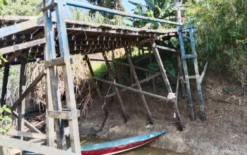 Jembatan Rebaq Rinding Nyaris Ambruk, Warga Gotong Royong Buka Akses Sambil Tunggu Perbaikan Pemkab Kukar 4 Kondisi Jembatan Kayu di Desa Rebaq Rinding, Kecamatan Muara Muntai (Dok. Pemdes Rebaq Rinding)