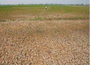 BMKG menyatakan Indonesia memasuki El Nino kuat yang dapat memicu kekeringan, karhutla, dan cuaca panas. Simak wilayah rawan serta langkah antisipasinya.