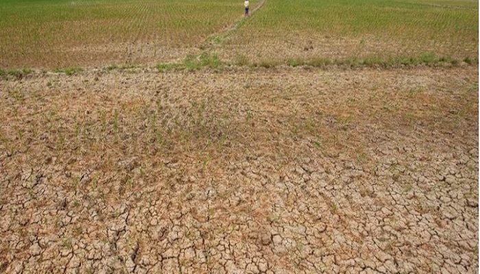 BMKG menyatakan Indonesia memasuki El Nino kuat yang dapat memicu kekeringan, karhutla, dan cuaca panas. Simak wilayah rawan serta langkah antisipasinya.