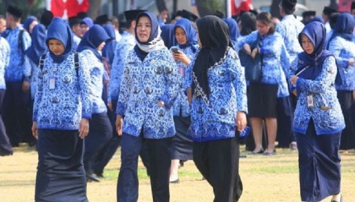 Pemberhentian PNS, PPPK, P3K PW Bisa Diusulkan Instansi Mulai 1 Agustus 2026