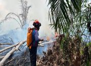 Tim Damkar Kukar melakukan pemadaman kebakaran lahan di dekat permukiman warga di Muara Badak. (Dok. Disdamkarmatan) Kukar)