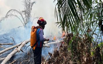 Tim Damkar Kukar melakukan pemadaman kebakaran lahan di dekat permukiman warga di Muara Badak. (Dok. Disdamkarmatan) Kukar)