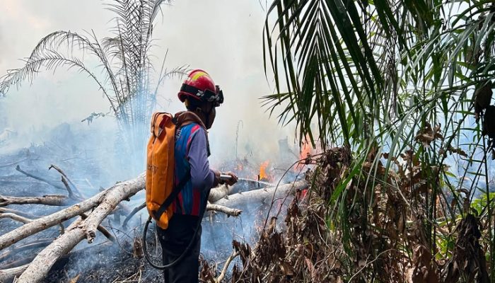Lahan 2,5 Hektare Terbakar di Badak Ilir, Petugas Padamkan Api dalam 40 Menit