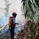 Lahan 2,5 Hektare Terbakar di Badak Ilir, Petugas Padamkan Api dalam 40 Menit