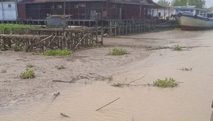 Musim Kemarau, Nelayan Kukar Panen Ikan Melimpah hingga Harga Anjlok