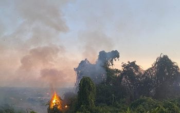 Kebakaran hutan dan lahan (karhutla) Yang Melanda Kawasan Jalan APT Pranoto Bayabaya, Desa Teluk Dalam, Kecamatan Tenggarong Seberang. (Irvan/dutakaltimnews.com