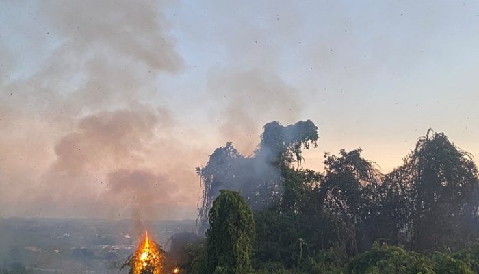 Api Mengganas di Teluk Dalam Kukar, Petugas Berjibaku Padamkan Karhutla hingga Malam
