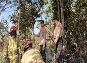 Kebakaran hutan dan lahan (Karhutla) terjadi di kawasan Hutan Lindung Bukit Soeharto, Km 37 Jalan Poros Samarinda-Balikpapan, Kecamatan Loa Janan, Kabupaten Kutai Kartanegara. (Dok. Disdamkarmatan Kukar)
