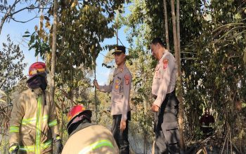 Kebakaran hutan dan lahan (Karhutla) terjadi di kawasan Hutan Lindung Bukit Soeharto, Km 37 Jalan Poros Samarinda-Balikpapan, Kecamatan Loa Janan, Kabupaten Kutai Kartanegara. (Dok. Disdamkarmatan Kukar)