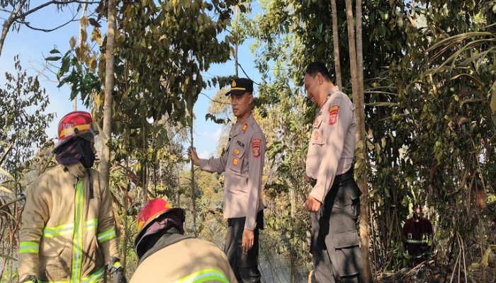 Karhutla di Bukit Soeharto Hanguskan 2 Hektare, Api Diduga dari Puntung Rokok