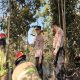 Kebakaran hutan dan lahan (Karhutla) terjadi di kawasan Hutan Lindung Bukit Soeharto, Km 37 Jalan Poros Samarinda-Balikpapan, Kecamatan Loa Janan, Kabupaten Kutai Kartanegara. (Dok. Disdamkarmatan Kukar)