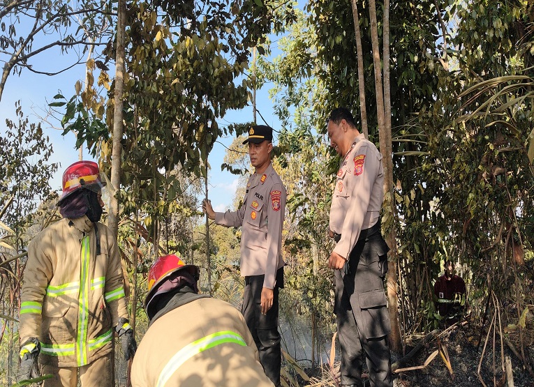 Kebakaran hutan dan lahan (Karhutla) terjadi di kawasan Hutan Lindung Bukit Soeharto, Km 37 Jalan Poros Samarinda-Balikpapan, Kecamatan Loa Janan, Kabupaten Kutai Kartanegara. (Dok. Disdamkarmatan Kukar)