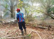 Kebakaran di Kawasan Jalan AJP RT 07, Kelurahan Sanipah, Kecamatan Samboja. (Dok. Koordinator Damkar Sektor Samboja, H Saharuddin)
