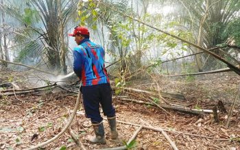 Kebakaran di Kawasan Jalan AJP RT 07, Kelurahan Sanipah, Kecamatan Samboja. (Dok. Koordinator Damkar Sektor Samboja, H Saharuddin)