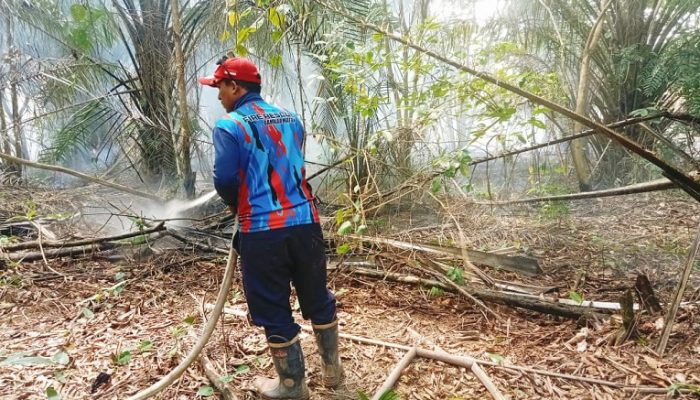 Api Lahap 10 Hektare Lahan di Sanipah, Pemadaman Berlangsung hingga Sore