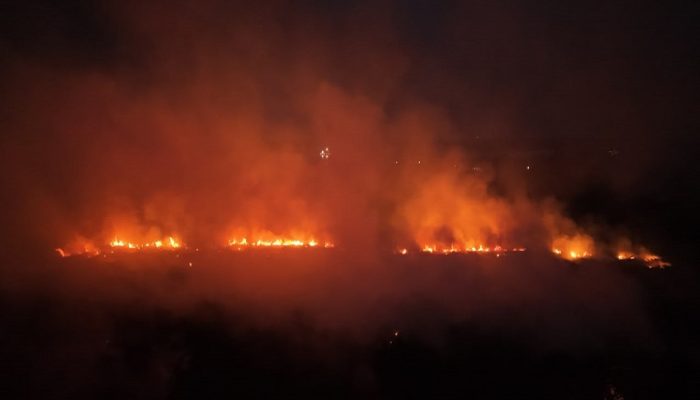 karhutla kecamatan sanga sanga