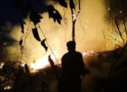 Kebakaran Lahan 2 Hektare di Sangasanga Mendekati Rumah Warga, Petugas Terkendala Akses dan Minim Air