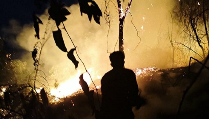 Kebakaran Lahan 2 Hektare di Sangasanga Mendekati Rumah Warga, Petugas Terkendala Akses dan Minim Air