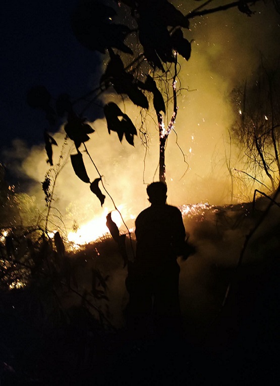 Kebakaran di Jalan Kawasan RT 05, Kelurahan Jawa, Kecamatan Sangasanga. (Dok. Disdamkarmatan Kukar)