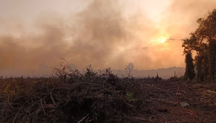 Karhutla Hanguskan 60 Hektare Lahan di Muara Badak