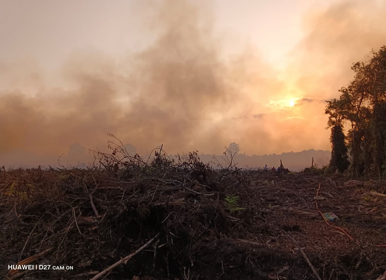 Kebakaran hutan dan lahan (karhutla) di kawasan Sambera, Desa Tanjung Limau, Kecamatan Muara Badak. (Dok. Disdamkarmatan Kukar)