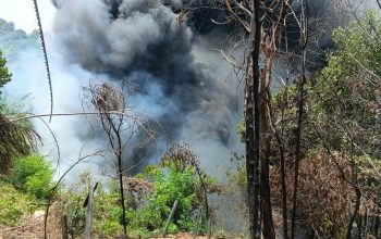 Karhutla di Km 9-10 Tenggarong Seberang Hanguskan 3,5 Hektare, Polisi Temukan Kejanggalan 3 Kebakaran Hutan dan Lahan di Kilometer 9-10 Jalan Poros Tenggarong-Samarinda, Kecamatan Tenggarong Seberang. (Dok. Disdamkarmatan Kukar)