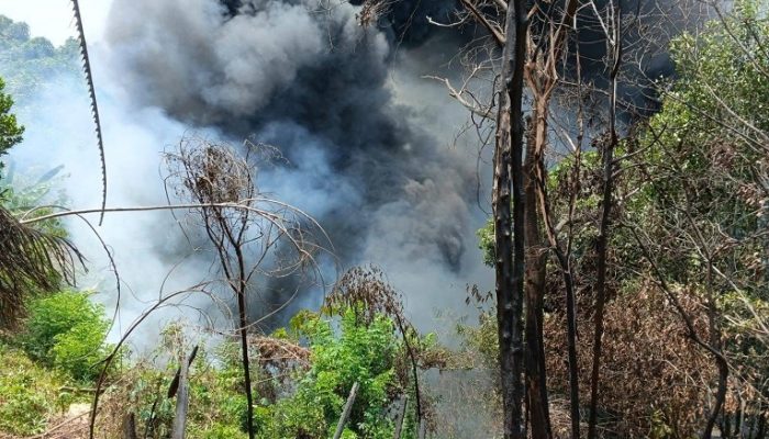 Karhutla di Km 9-10 Tenggarong Seberang Hanguskan 3,5 Hektare, Polisi Temukan Kejanggalan